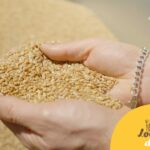 partenaire Moulin Céard